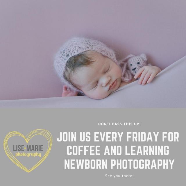 Newborn Photography Education for photographers; Mentoring and Learning